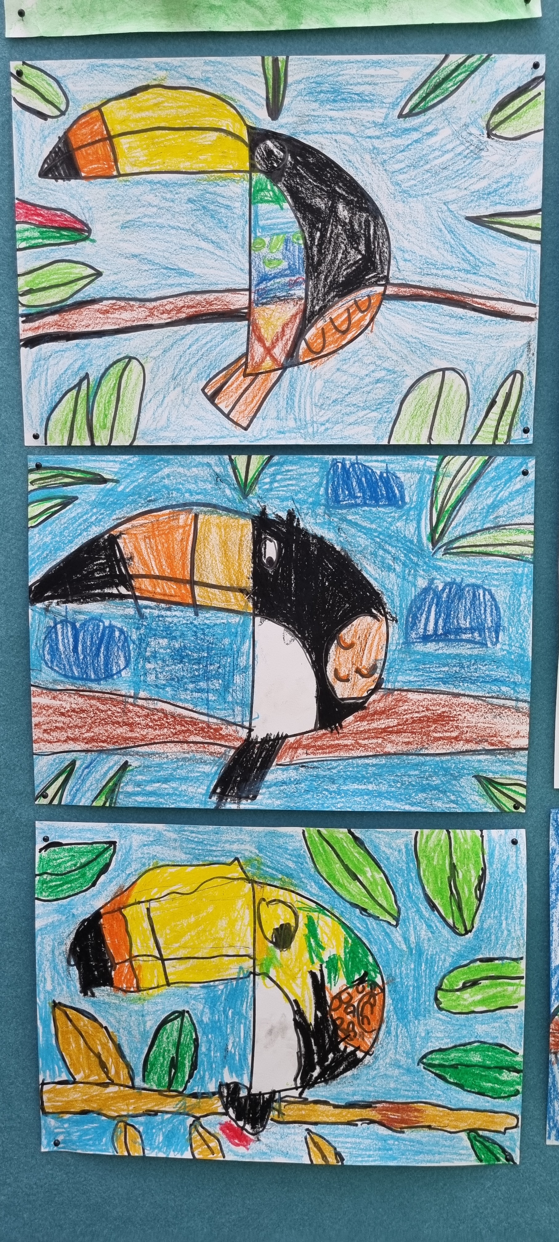 /uploaded_files/media/gallery/1716170927Toucans.jpg
